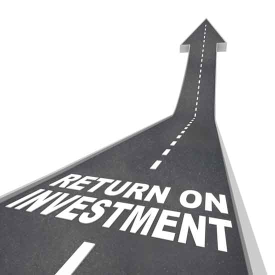 investment and maximize the return
