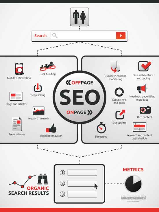 seo services in clearwater