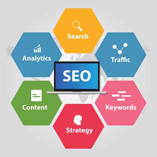 top seo company in clearwater